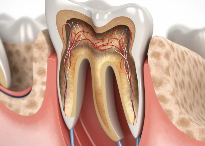 Czym się różni dentysta od stomatologa?